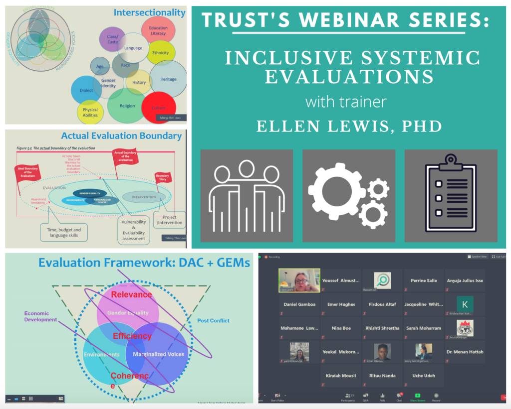 Inclusive systemic evaluation