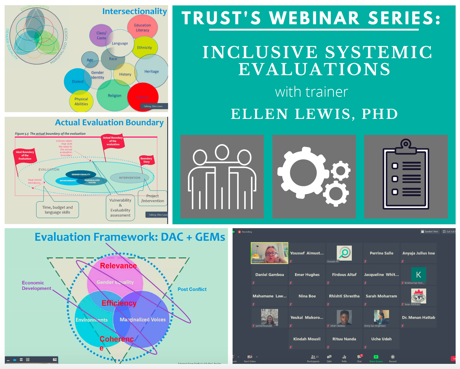 Inclusive systemic evaluation