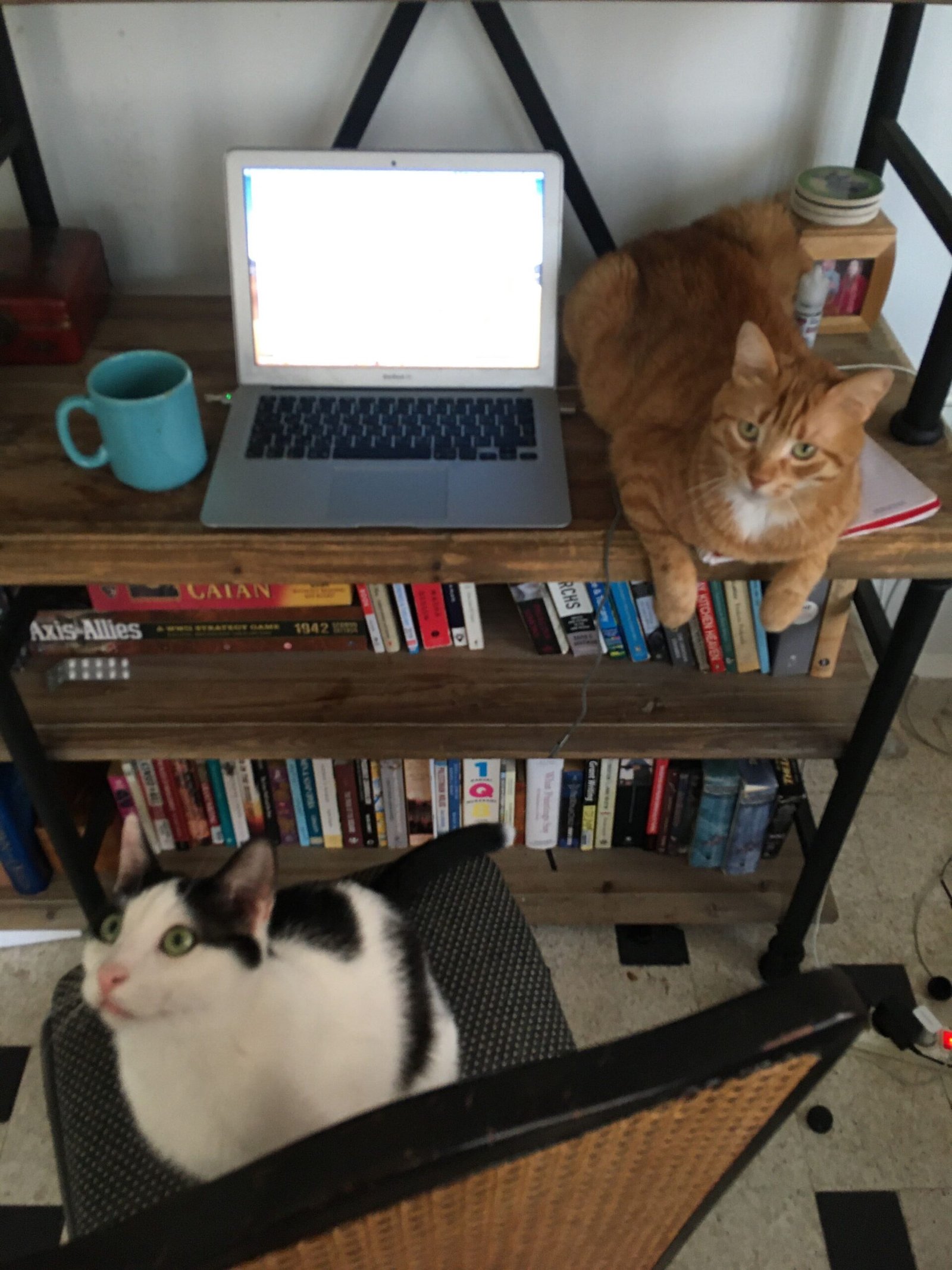 remote work covid 2020